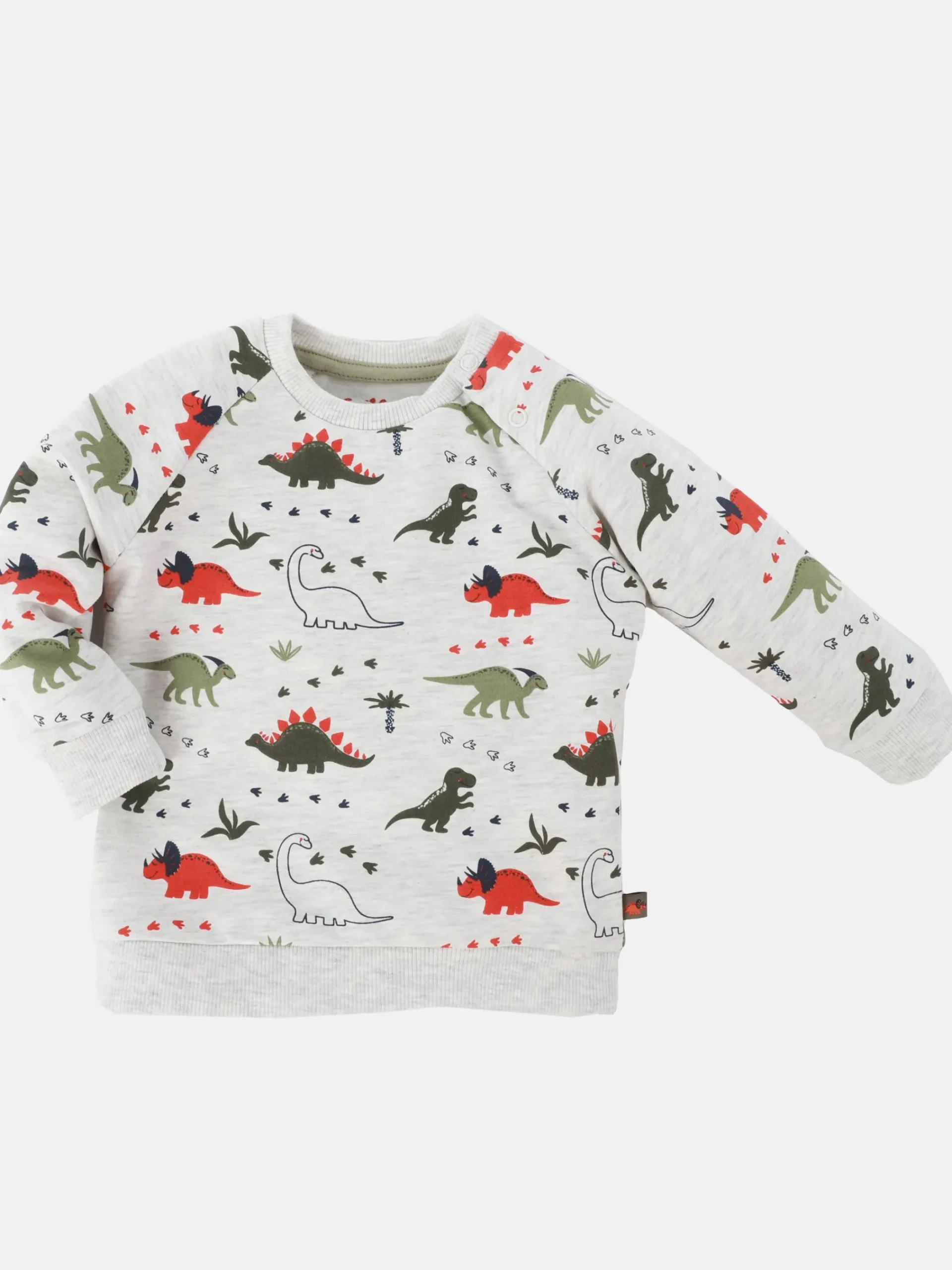 Kinder Bubble Gum Baby Jungen Sweatshirt mit Dinoprint