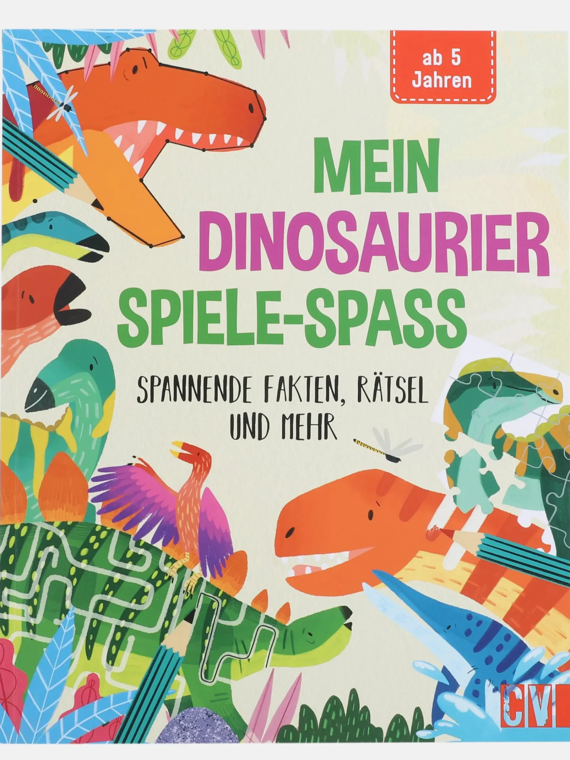 Kinder Bücher Buch "Mein Dinosaurier Spiele-Spass"