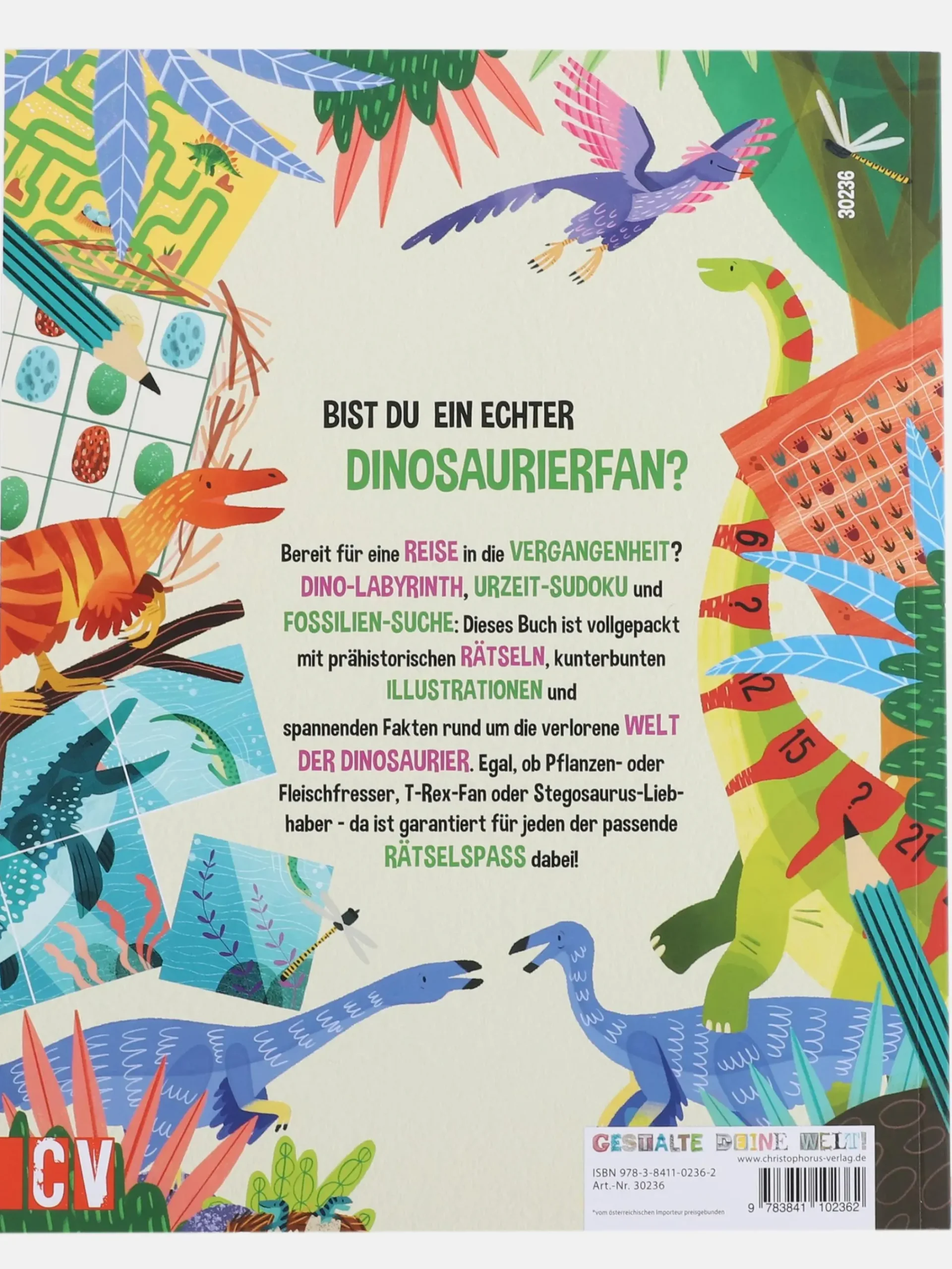 Kinder Bücher Buch "Mein Dinosaurier Spiele-Spass"