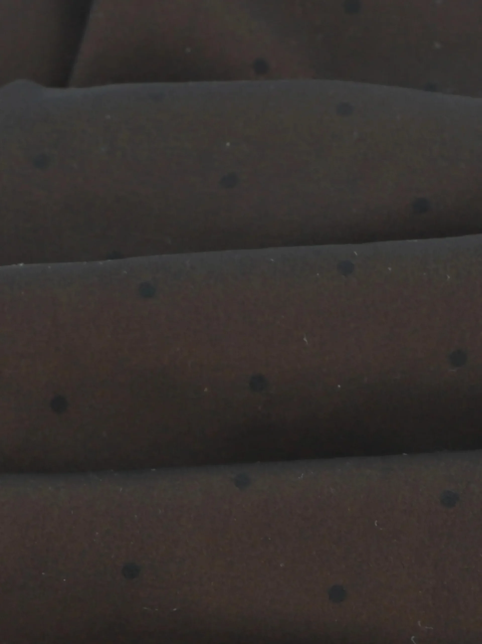 Damen Camano Damen Strumpfhose