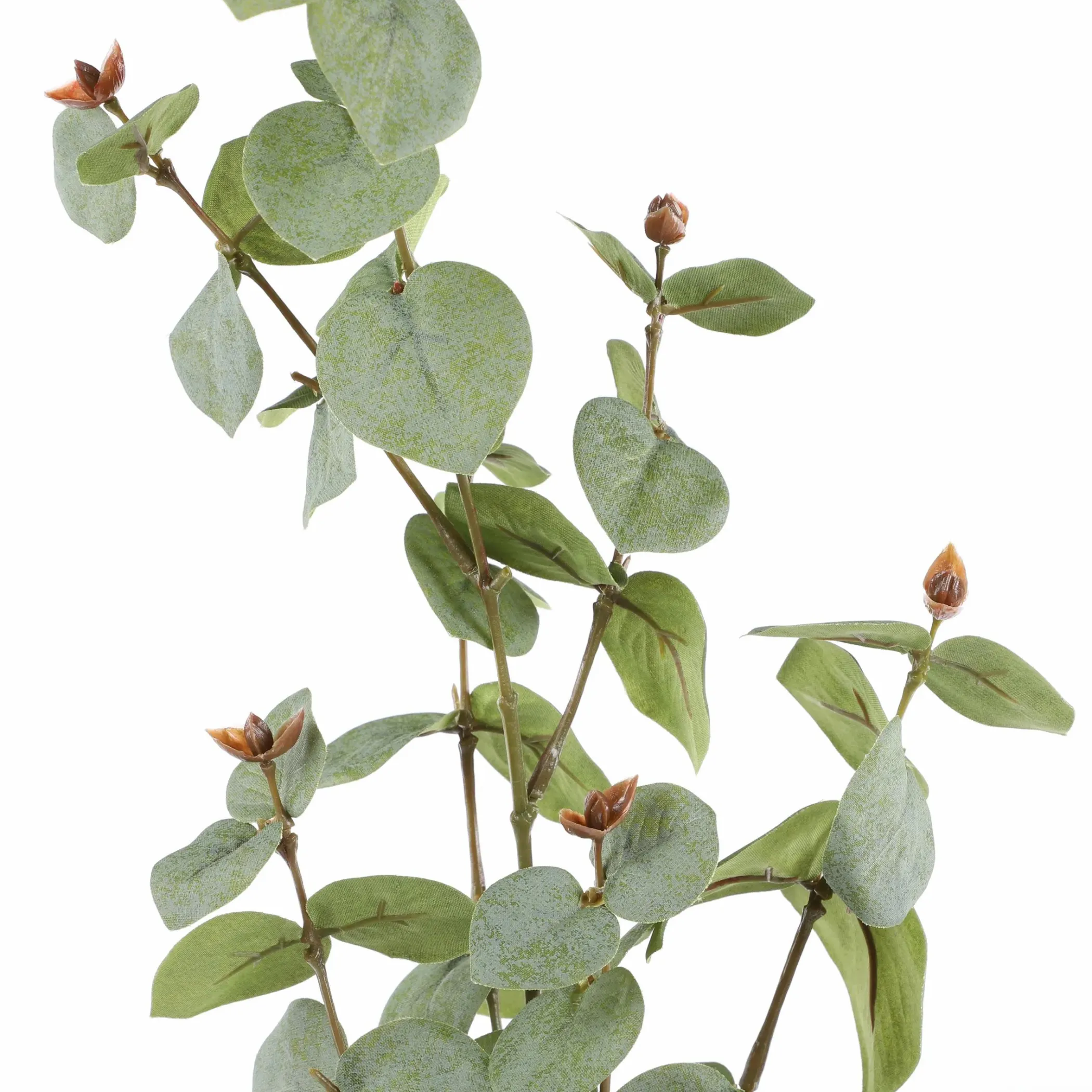 Deko Artikel Eukalyptus Dekozweig ca.80-90cm