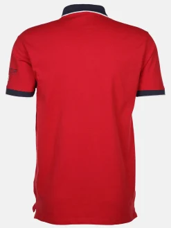 Herren U.S. Polo Assn. Herren Poloshirt mit Print