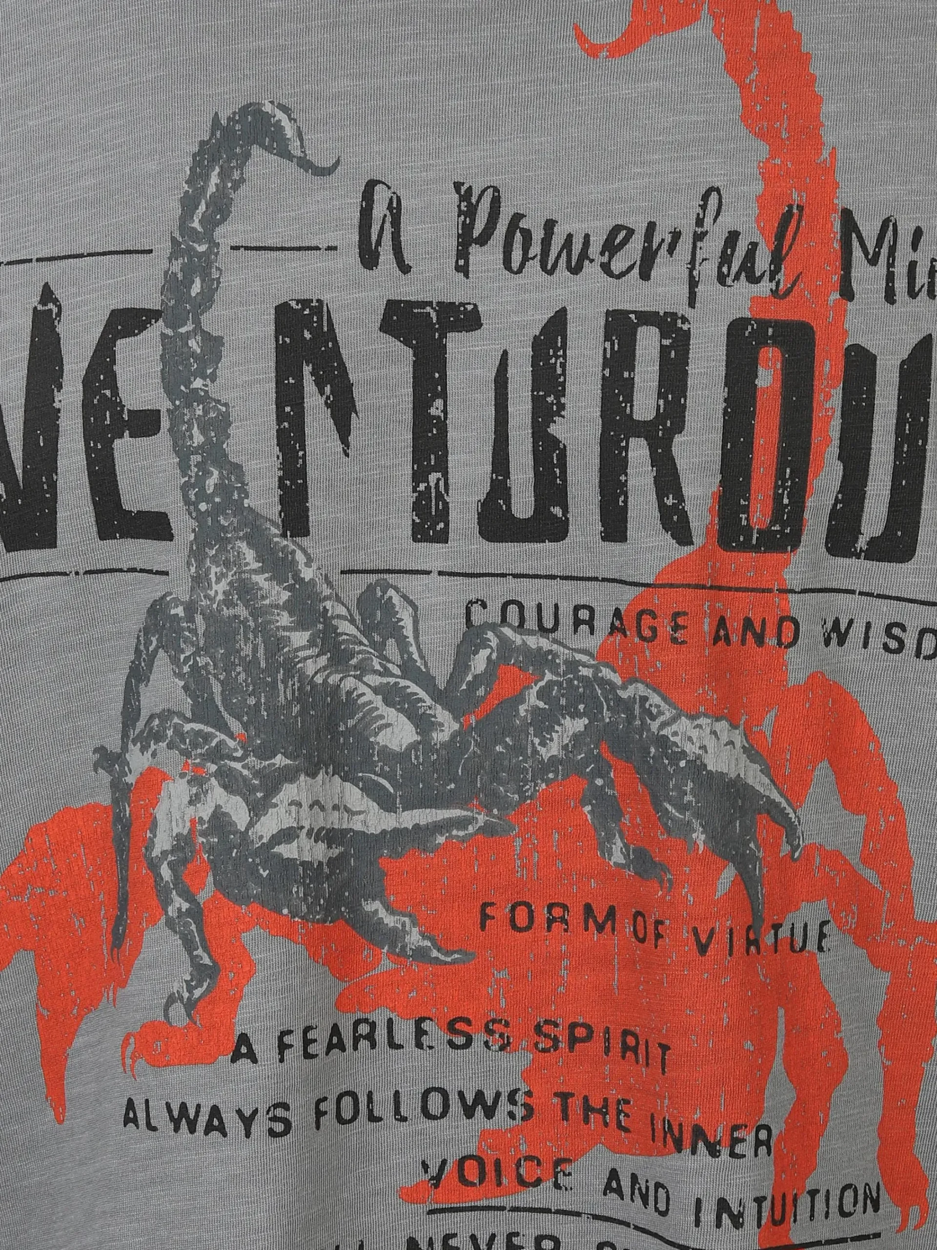 Herren Southern Territory Herren Shirt mit Frontprint