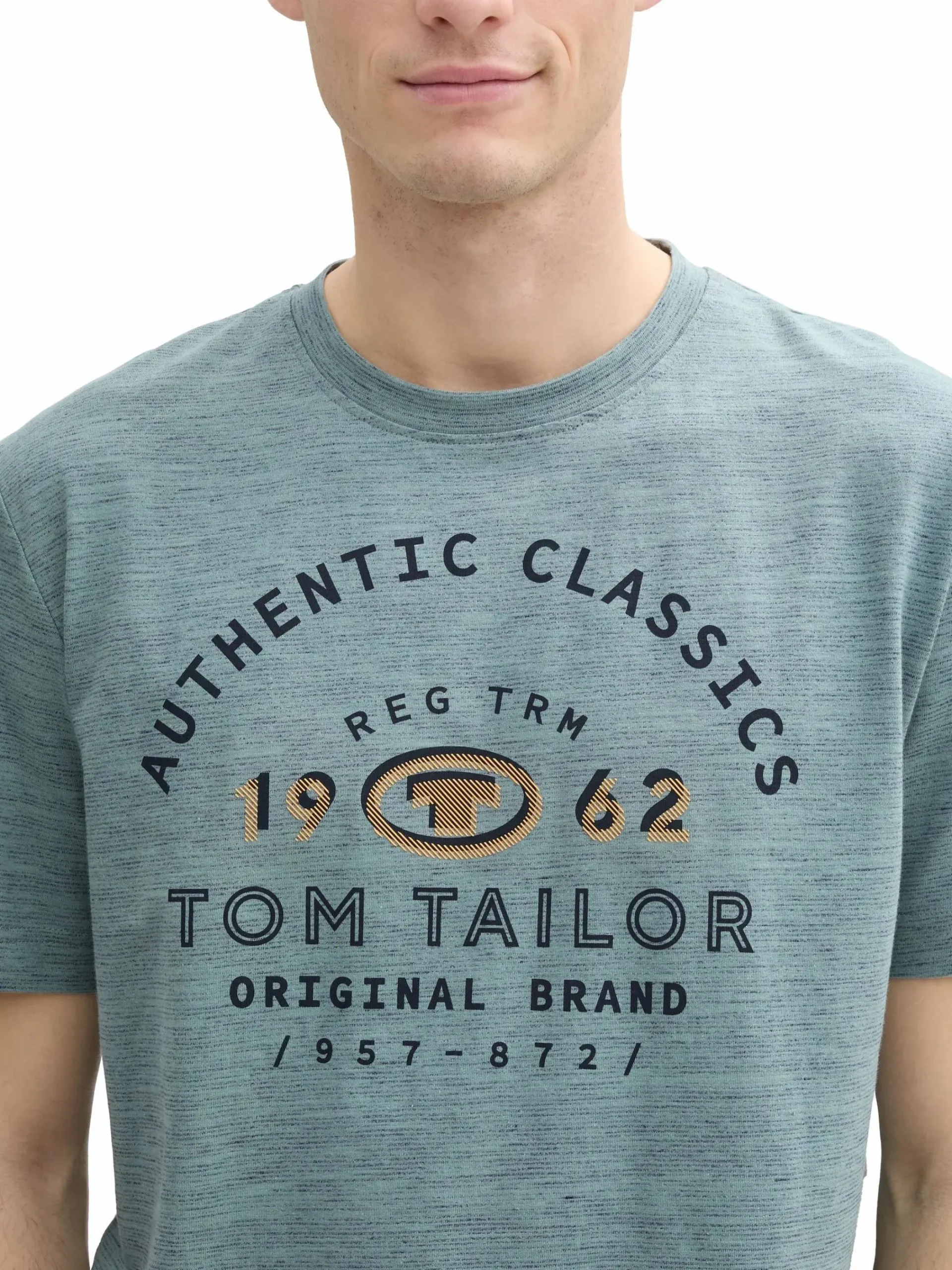 Herren Tom Tailor Herren T-Shirt