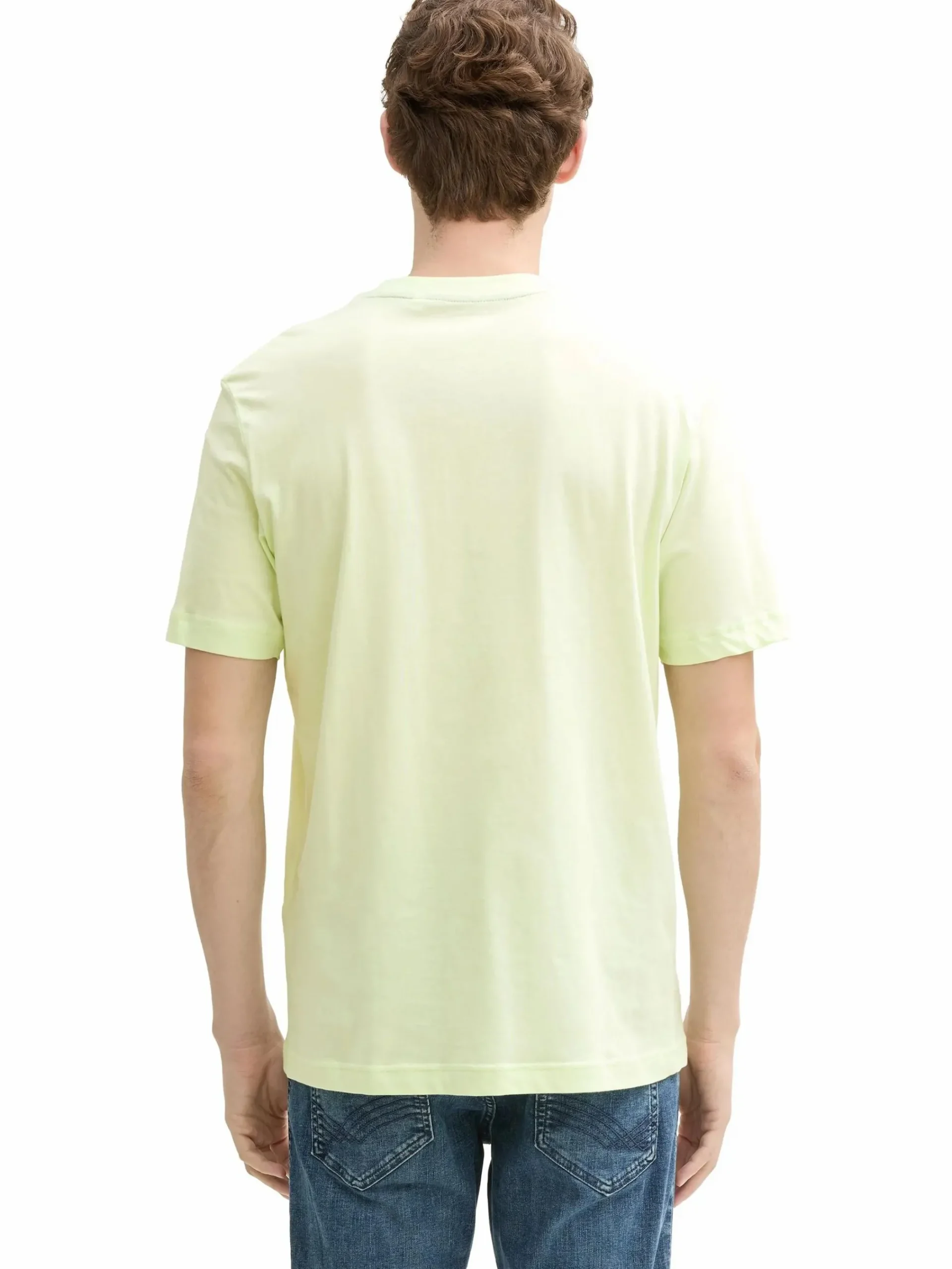 Herren Tom Tailor Herren T-Shirt mit Print