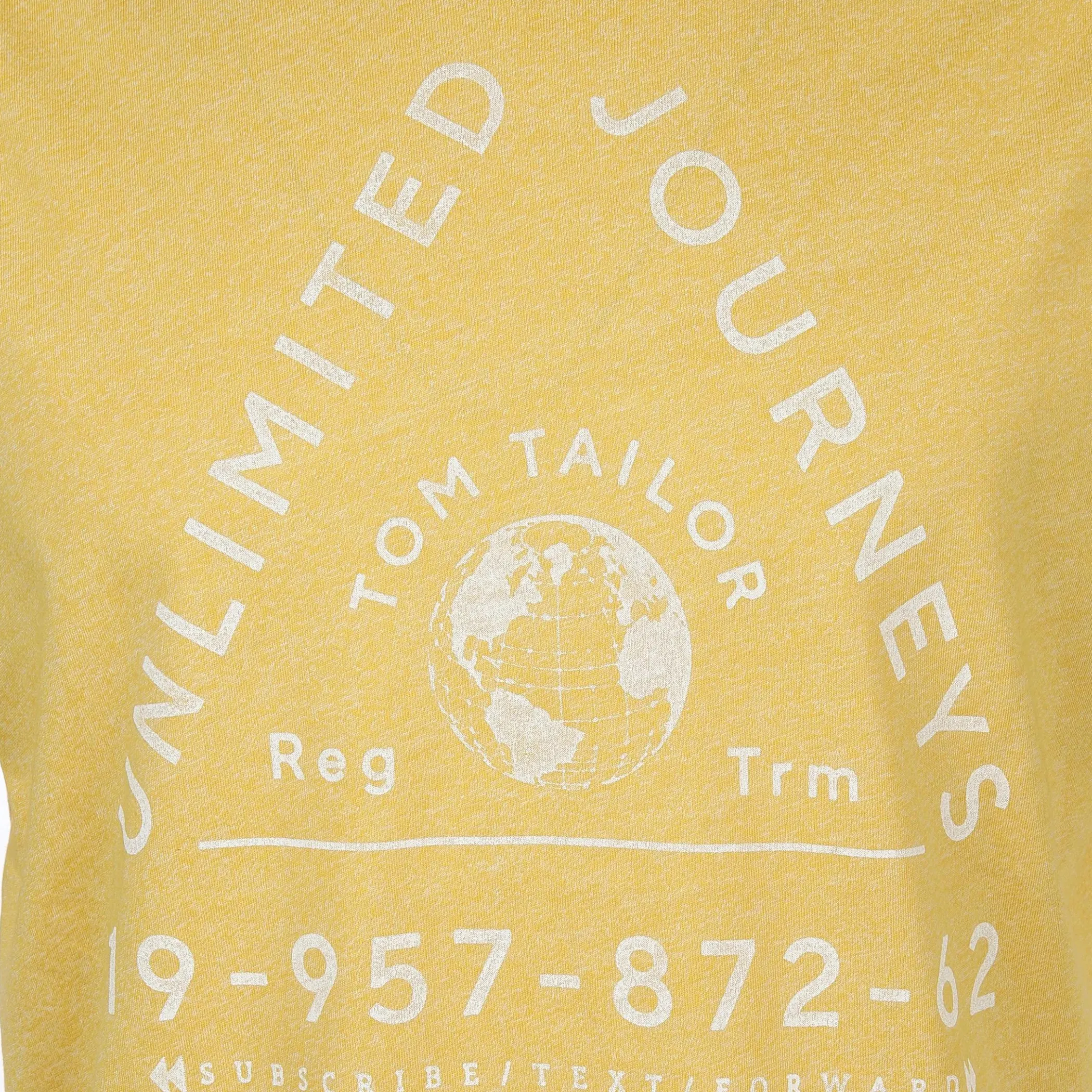 Herren Tom Tailor Herren T-Shirt mit Print