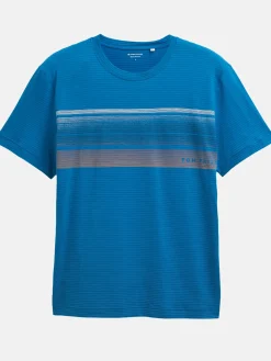 Herren Tom Tailor Herren T-Shirt mit Streifenprint