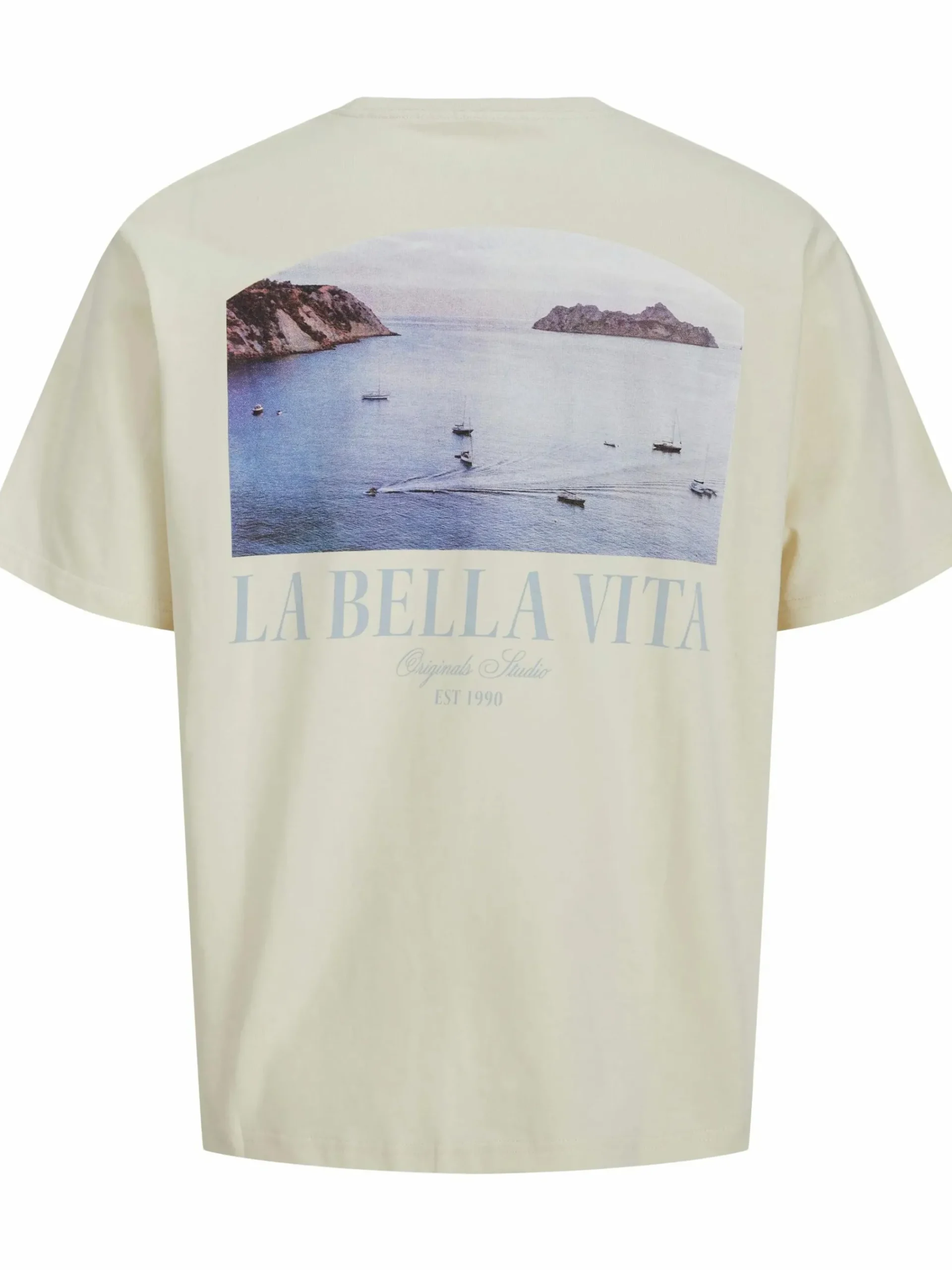 Herren Jack Jones Jack & Jones JORHYDRA PHOTO TEE SS T-Shirt