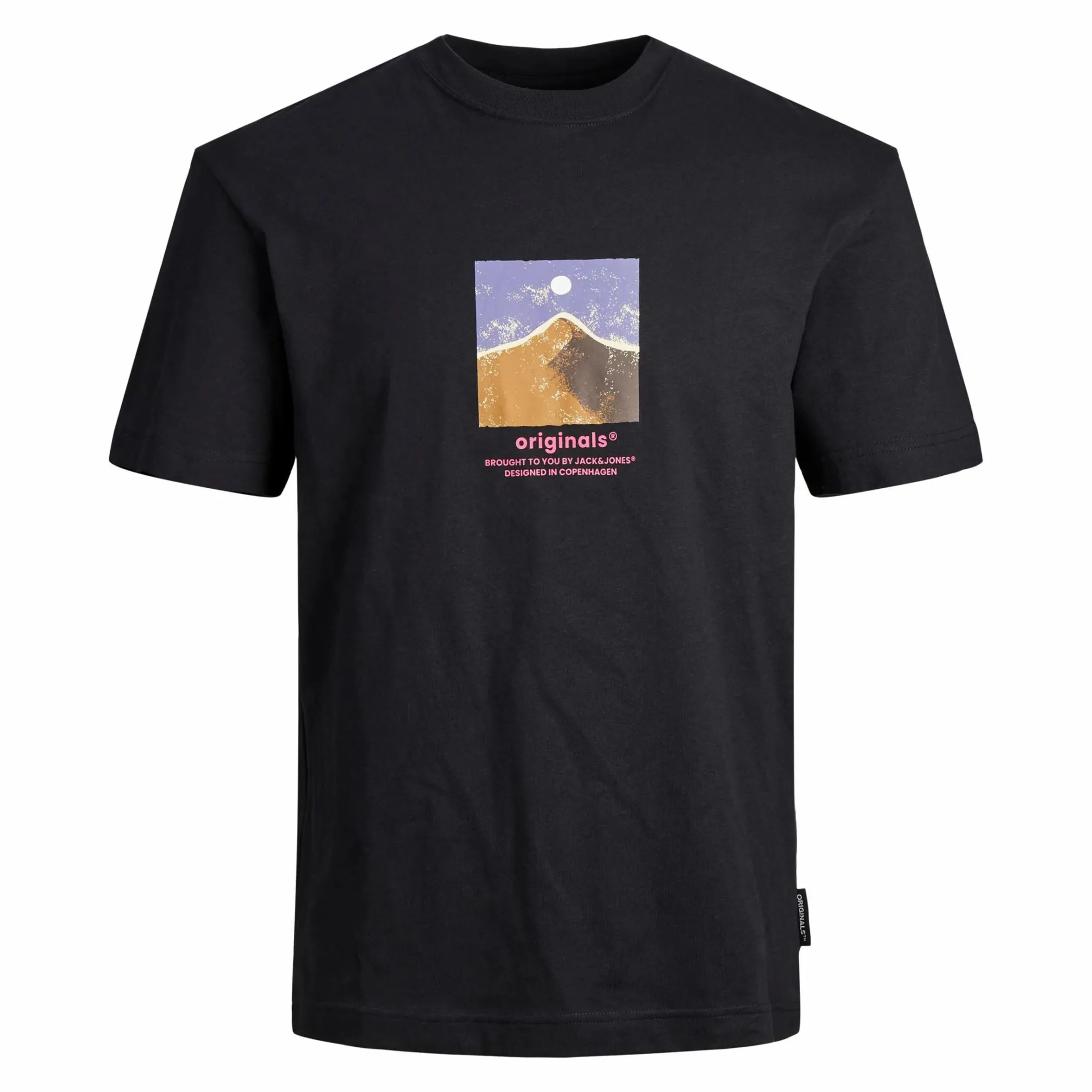 Herren Jack Jones Jack & Jones JORSILVERLAKE GRAPHIC Shirt