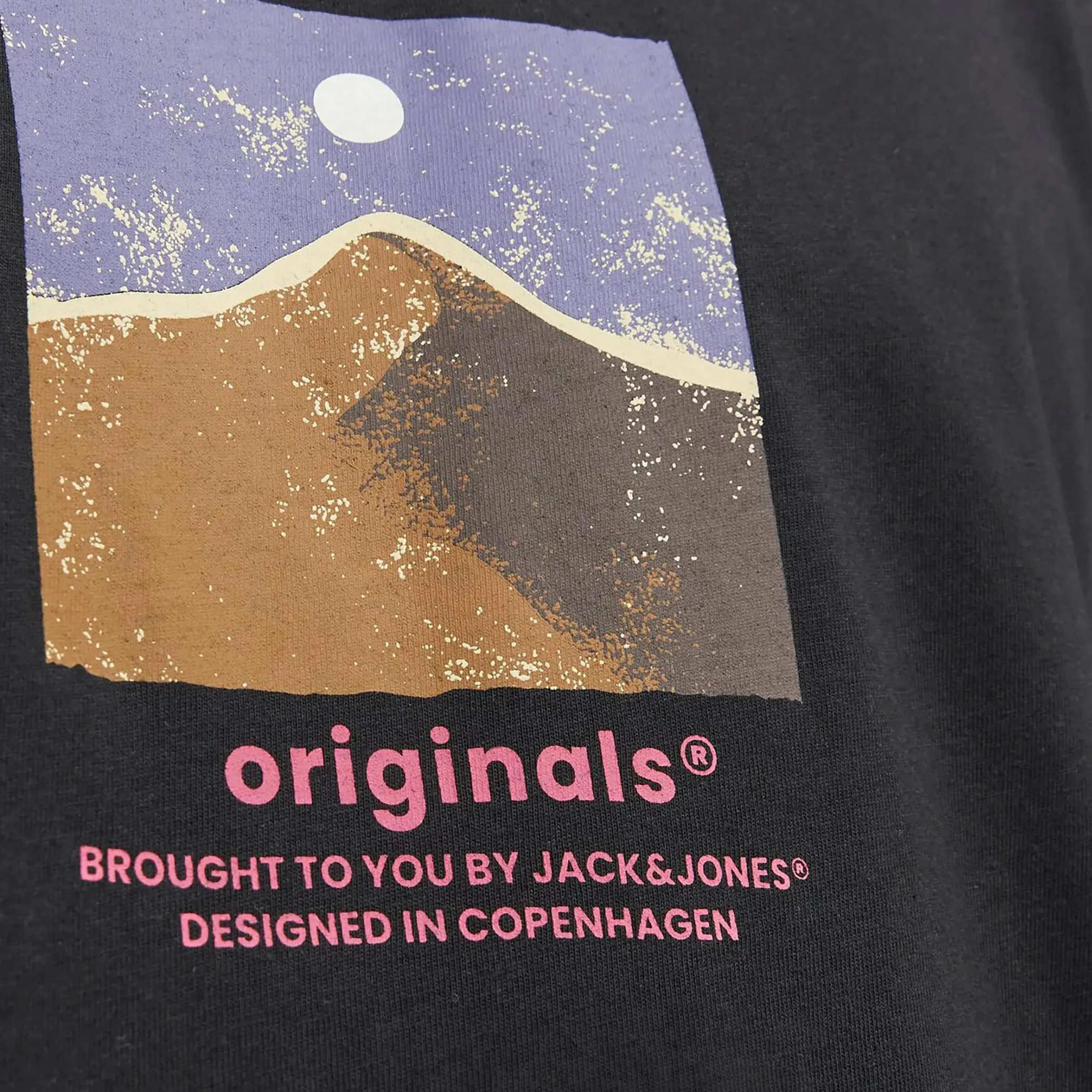 Herren Jack Jones Jack & Jones JORSILVERLAKE GRAPHIC Shirt