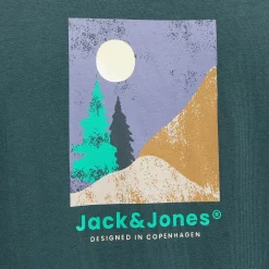 Herren Jack Jones Jack & Jones JORSILVERLAKE GRAPHIC Shirt