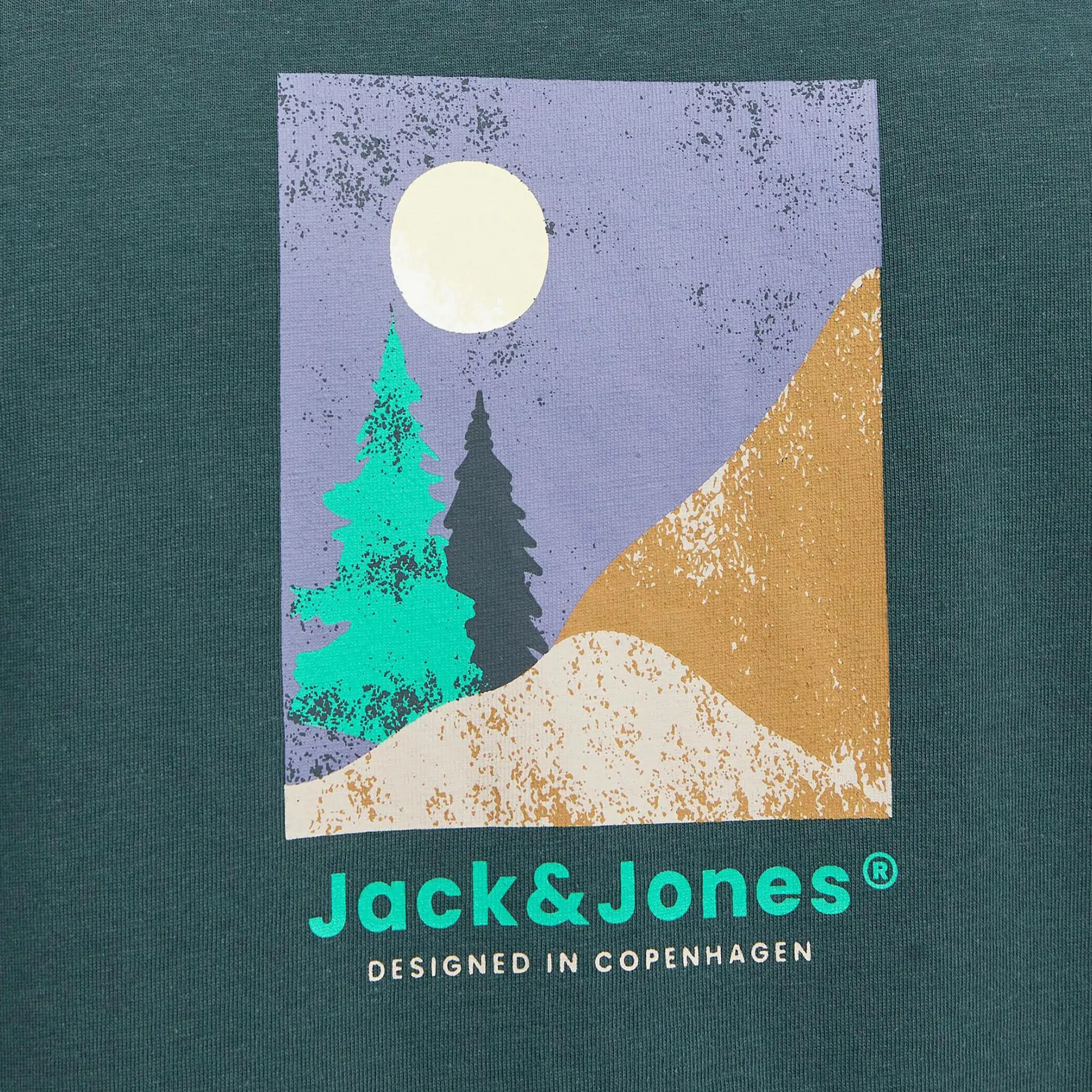 Herren Jack Jones Jack & Jones JORSILVERLAKE GRAPHIC Shirt