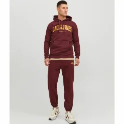 Herren Jack Jones Jack & Jones JPSTKANE JJJOSH SWEAT Jogginghose