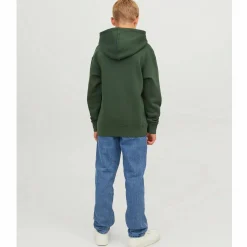 Kinder Jack&Jones Junior Jacke&Jones Junior JJESTAR JJ SWEAT HOOD Hoodie