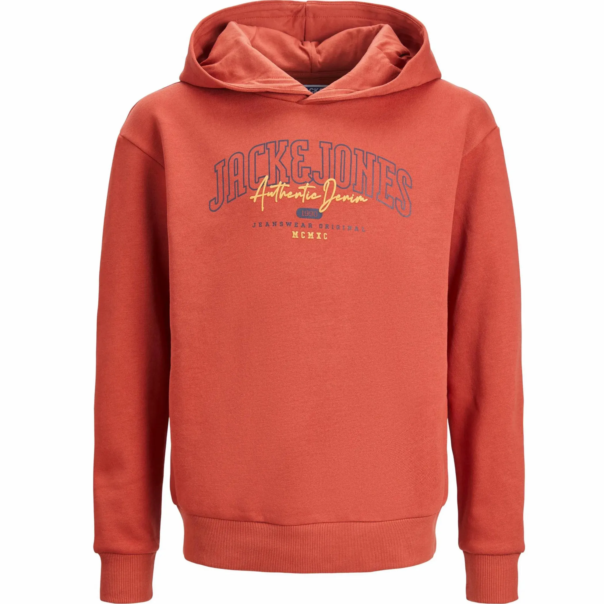 Kinder Jack&Jones Junior JJLARRY SWEAT HOOD JN Hoodie