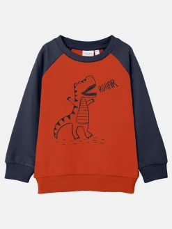 Kinder name it Jungen Sweatshirt mit Print
