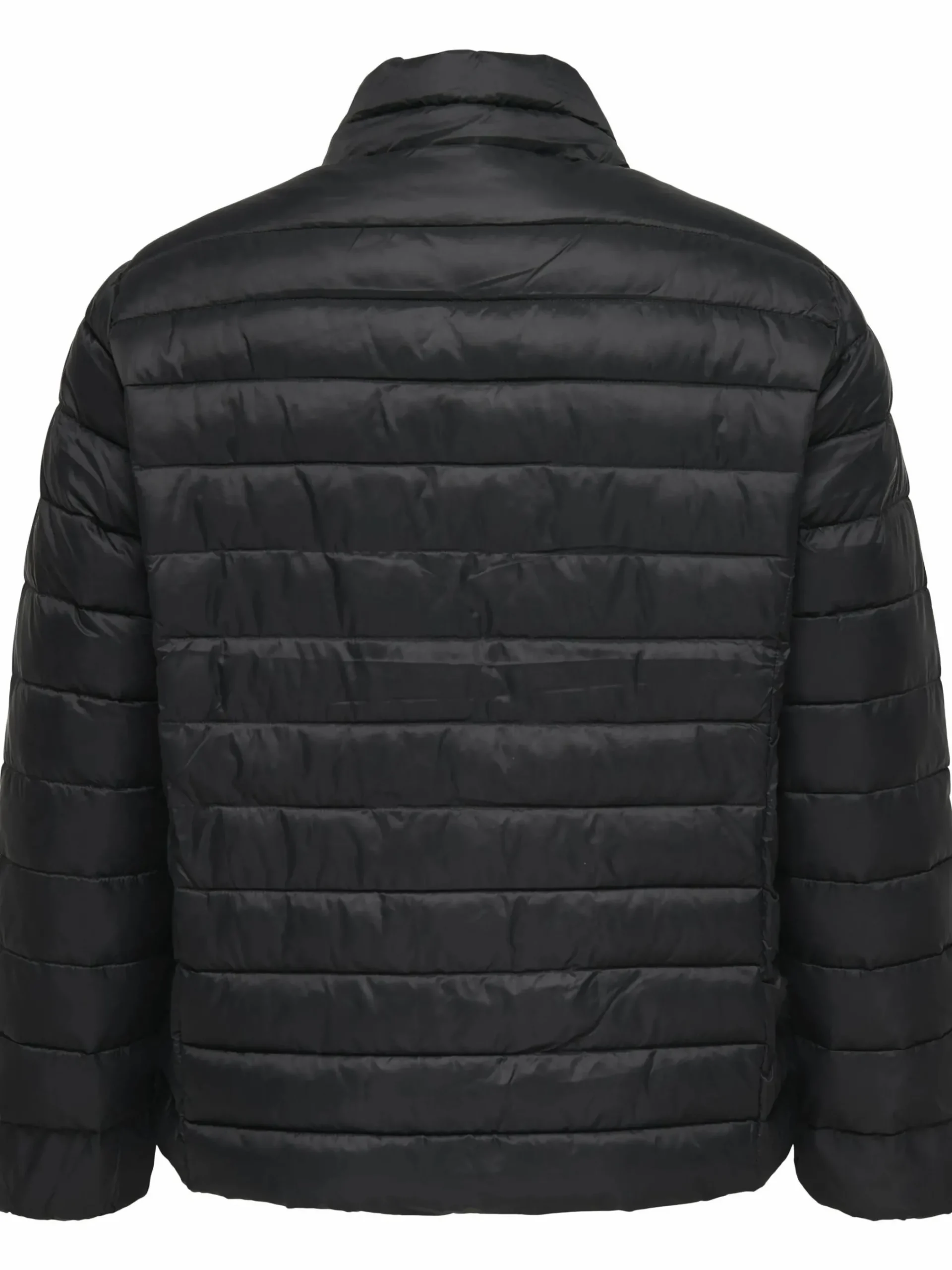 Damen Only Carmakoma CARTAHIA LW QUILTED Steppjacke