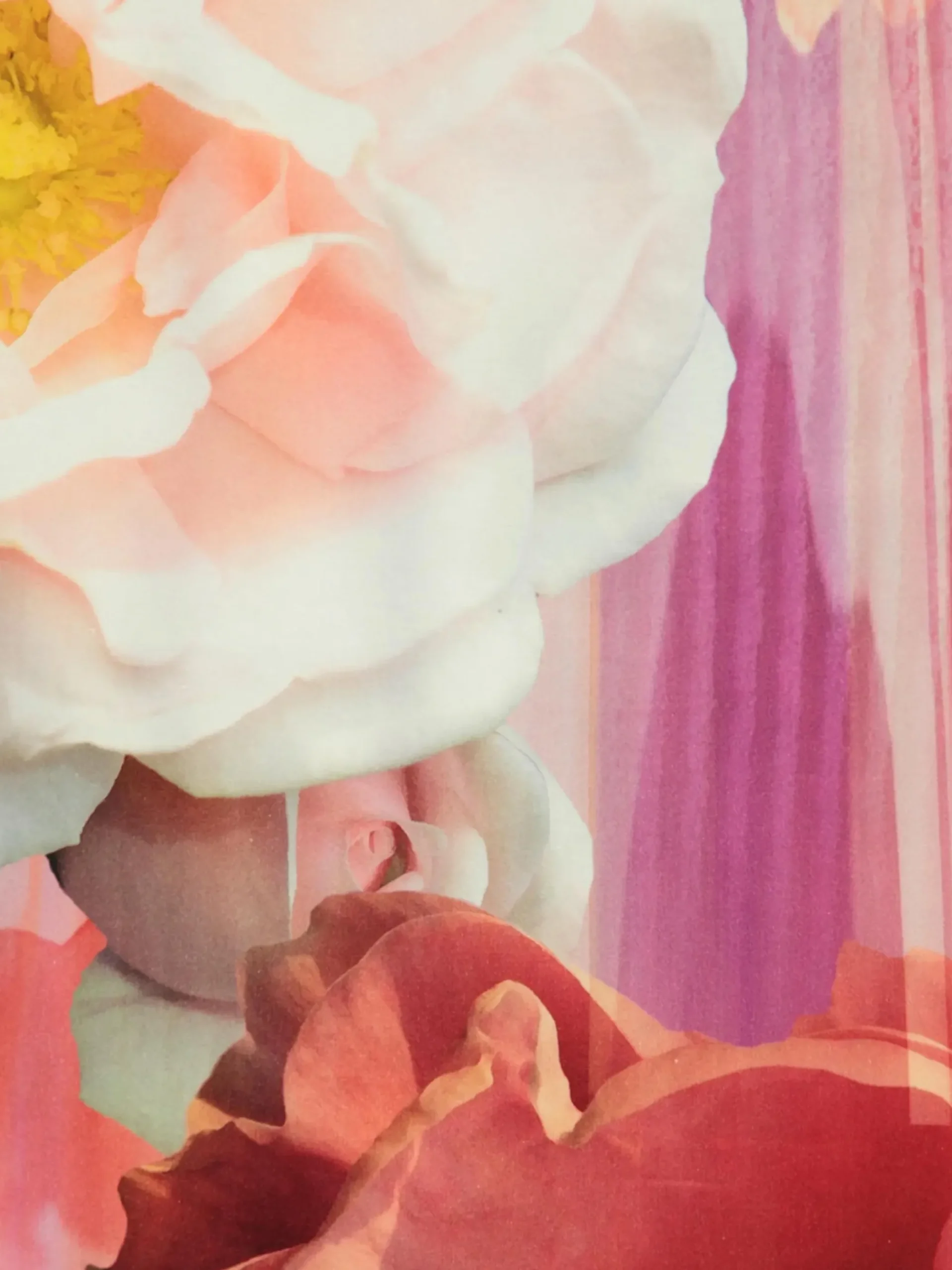 Must have Kaeppel Satinbettwäsche im Blumendessin 155x220cm